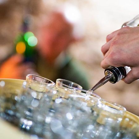Wellness Penzion-Restaurace U Pstrosa Vsemyslice Esterno foto