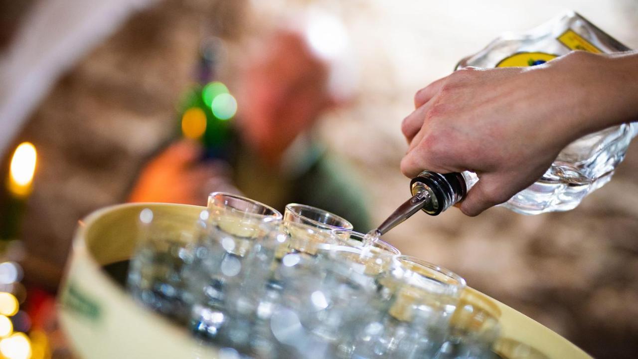 Wellness Penzion-Restaurace U Pstrosa Vsemyslice Esterno foto